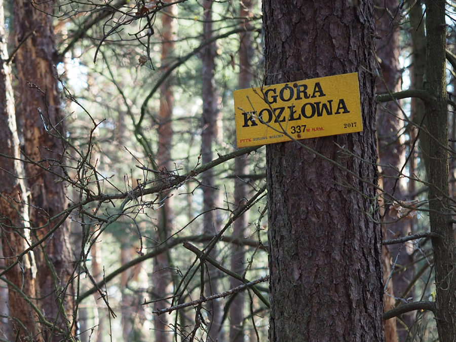 Góra Kozłowa