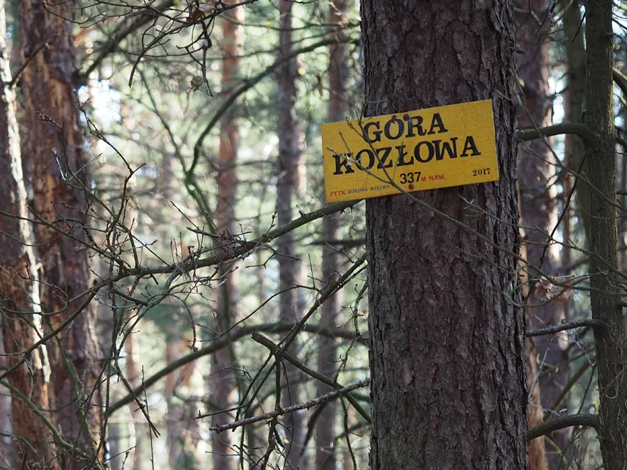 Góra Kozłowa