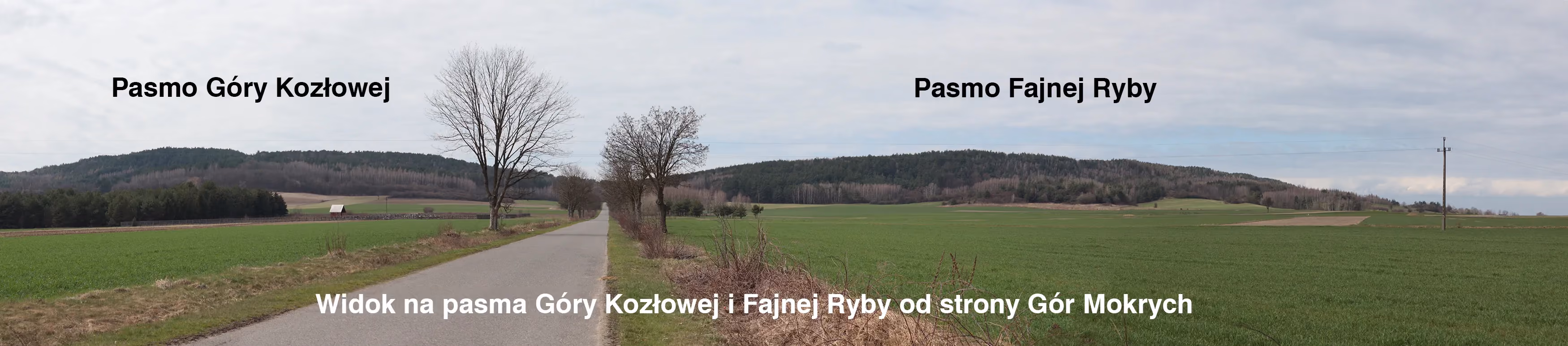 Panorama pól i lasów z widokiem na pasma Góry Kozłowej i Fajnej Ryby. Przez środek krajobrazu biegnie lokalna droga prowadząca w kierunku wzgórz.