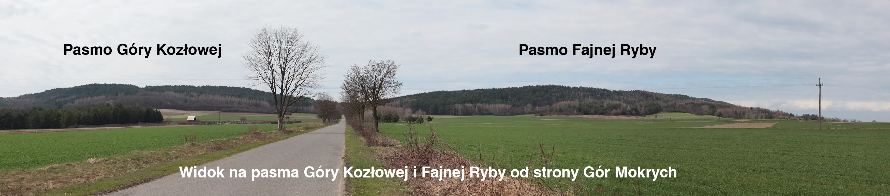 Panorama pól i lasów z widokiem na pasma Góry Kozłowej i Fajnej Ryby. Przez środek krajobrazu biegnie lokalna droga prowadząca w kierunku wzgórz.
