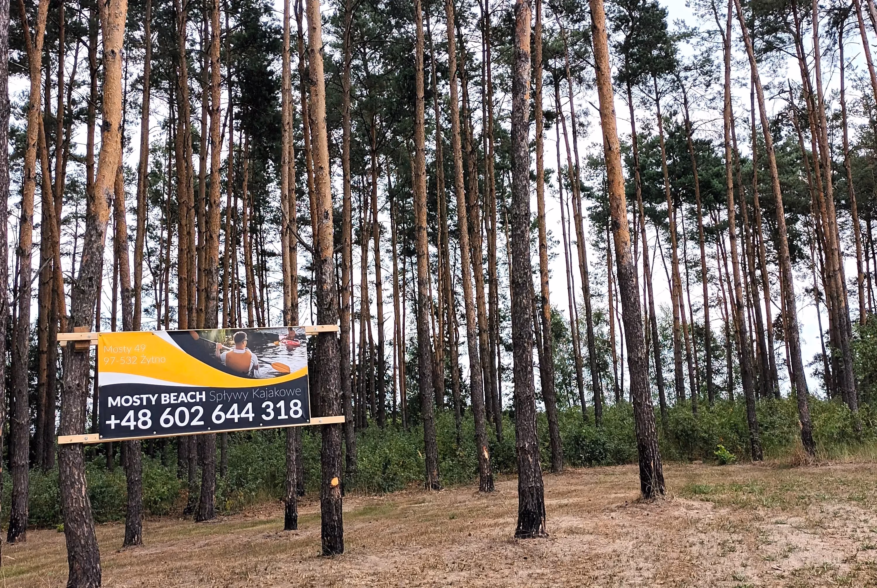 Mosty Beach – organizator spływów kajakowych na Pilicy w powiecie radomszczańskim.