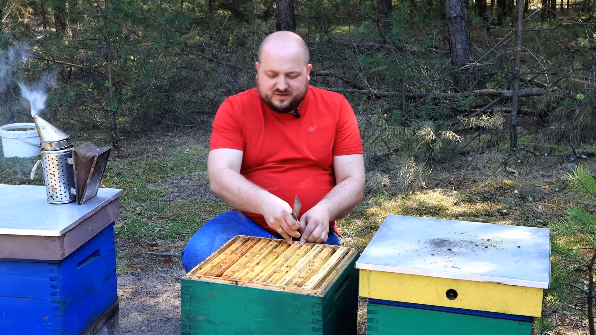 Emil Maciąg "Pasieka Bzycząca Pszczółka"