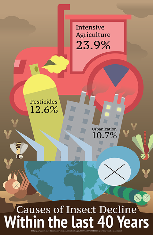 An infographic poster visualizing data on the decline of insects. Jutting out from the beetle at the bottom are visualizations of the data, the visualizations with the bigger percentages are larger in the diagram. The main beetle has patterns of the globe's continents, the ground is littered with fallen insects, and the background is brown and dry with a smog-filled sky. All of these grim details come together to establish the tone of this environmental infographic.