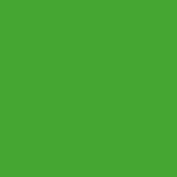 One of the brand colors of the fictitious "Trash Snatchers" brand. It is a light green with the hexadecimal value of #44A62E.