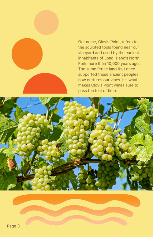 The second page of a promotional booklet for the fictitious "Savory" wine brand.