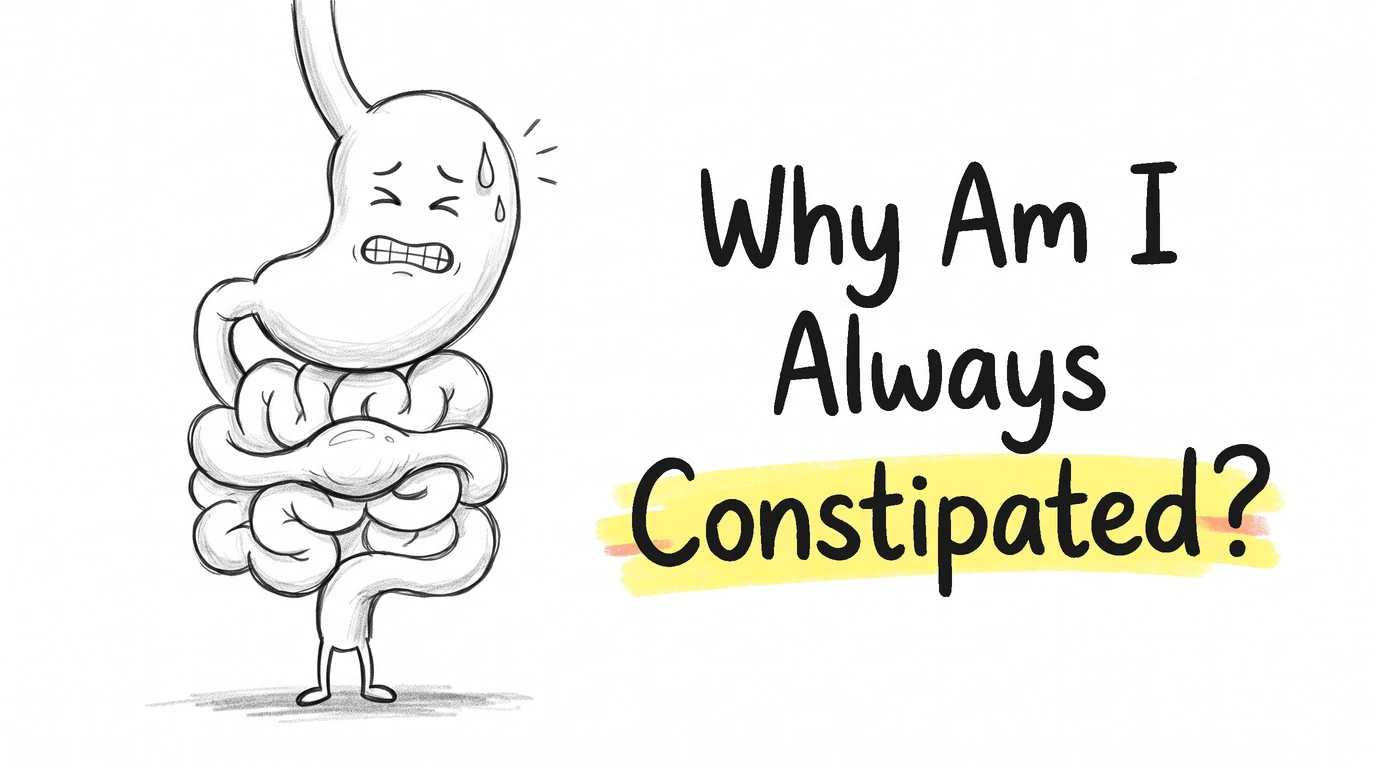 A cartoon stomach character with a strained face and a sweat drop, its intestinal coil drawn large and tangled below it. Thumbnail for the Know Your Gut article Why Am I Always Constipated?