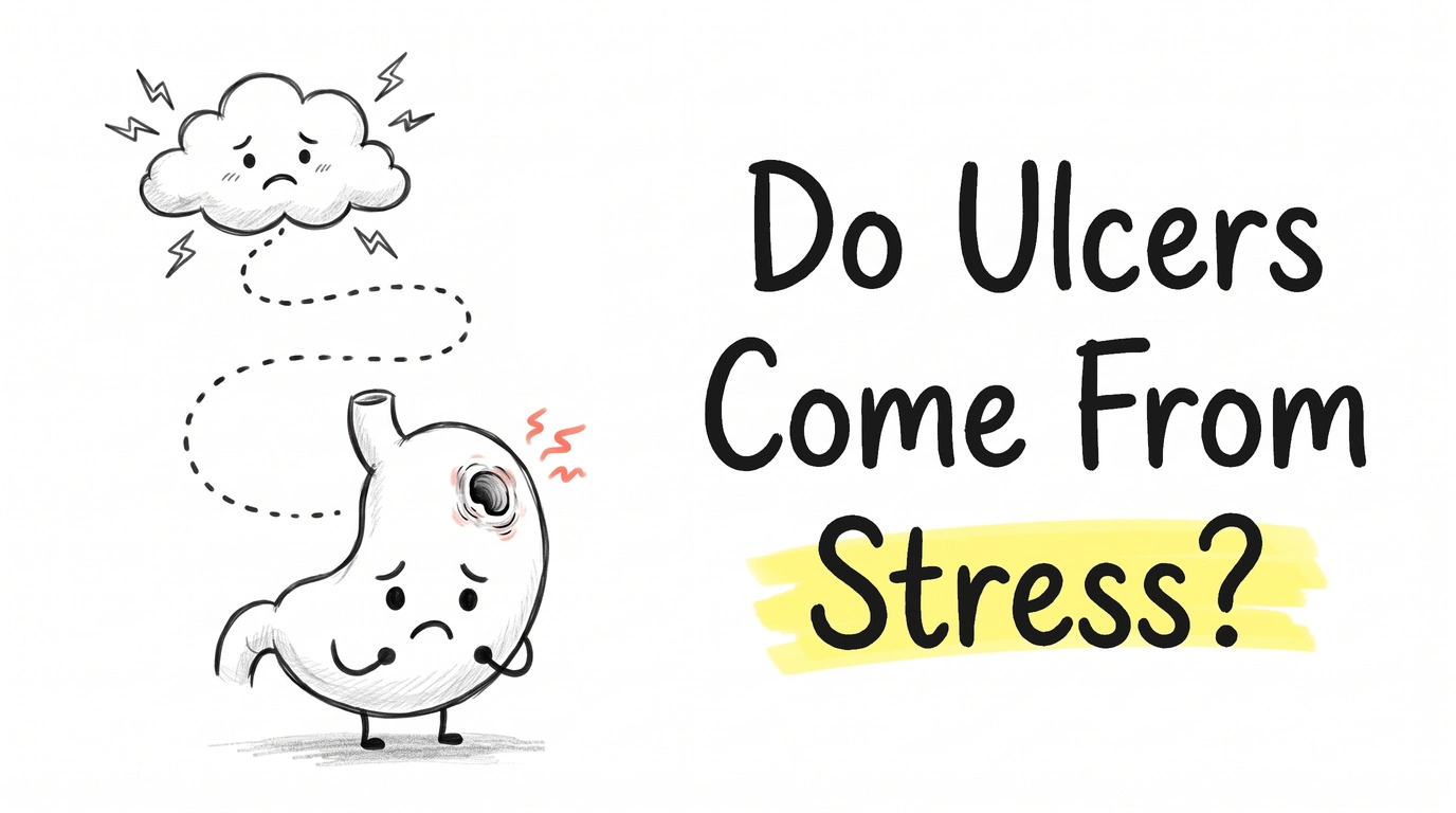 A storm cloud with lightning and a dotted line running down to a small cartoon stomach character with a sore patch and coral marks. Thumbnail for the Know Your Gut article Do Ulcers Come From Stress?