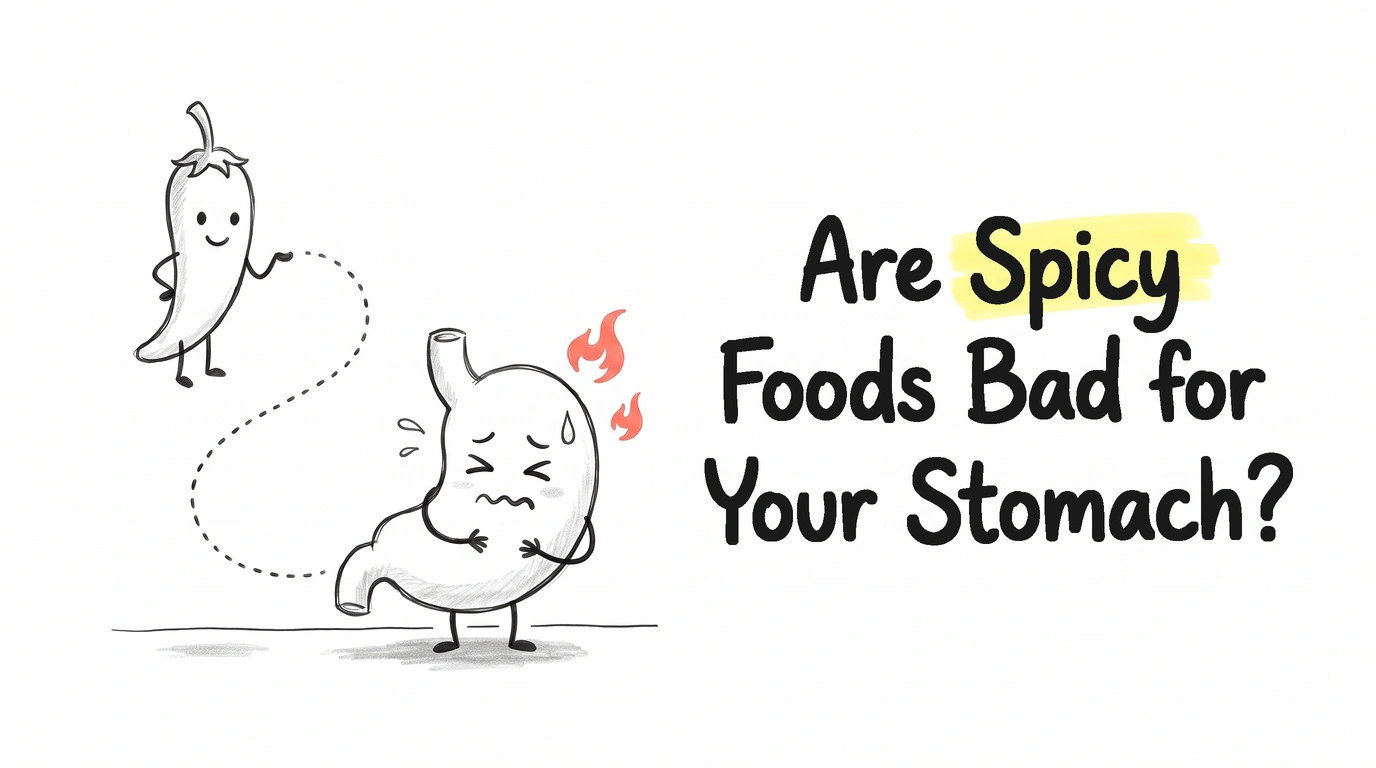 A small chilli pepper with a face on a dotted line leading to a cartoon stomach character with scrunched eyes and a coral flame beside it, with no damage drawn on its body. Thumbnail for the Know Your Gut article Are Spicy Foods Bad for Your Stomach?