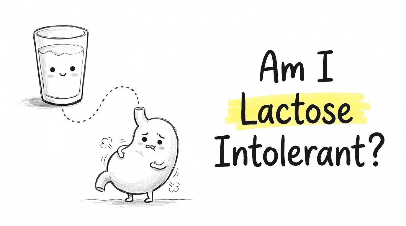 A smiling glass of milk with a dotted line running down to a cartoon stomach character below it, which has a puffed belly, a pained face and small gas puffs around it. Thumbnail for the Know Your Gut article Am I Lactose Intolerant?