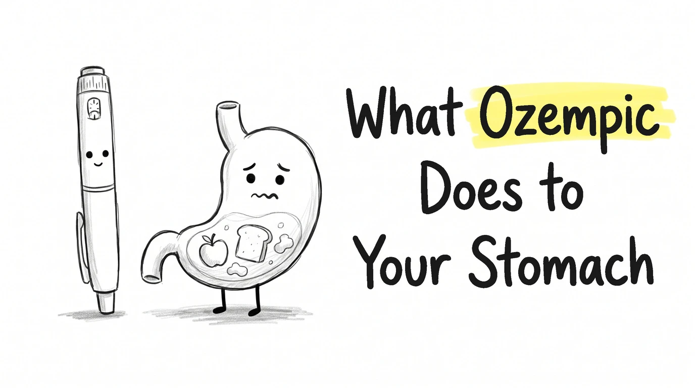 A tall injection pen with a face beside a cartoon stomach character with a worried look and food shapes still sitting visibly inside its body. Thumbnail for the Know Your Gut article What Ozempic Actually Does to Your Stomach