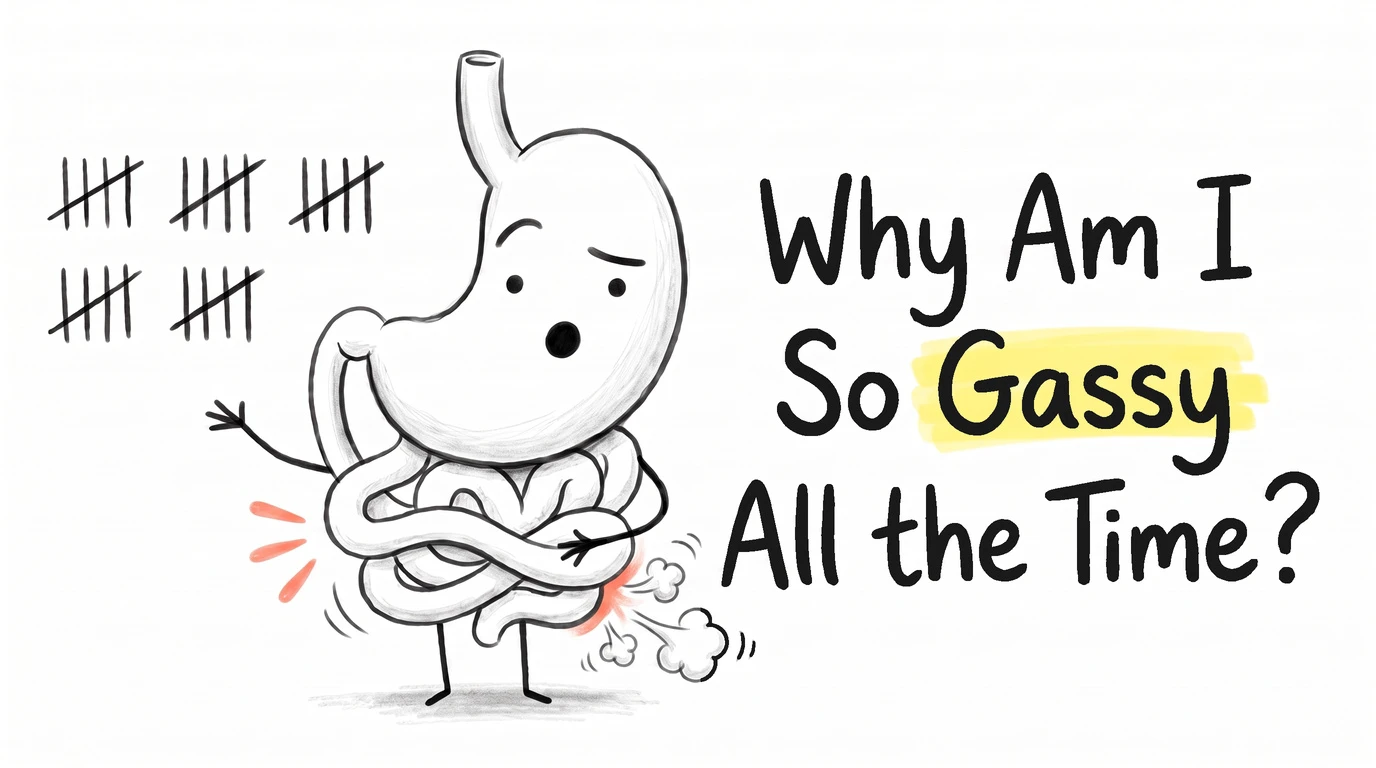 Thumbnail for the Know Your Gut article Why Am I So Gassy? Drawn in the site's hand-drawn cartoon gut-character style.