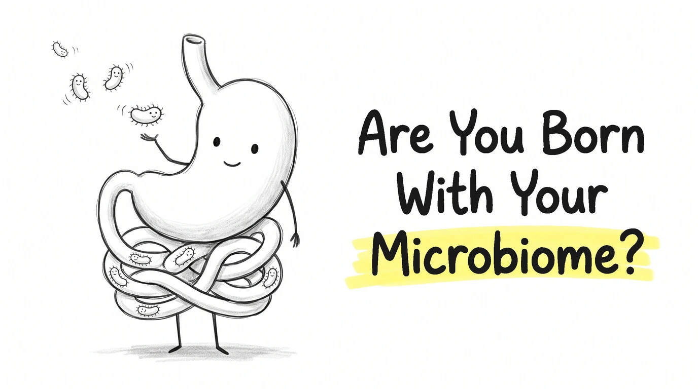 Thumbnail for the Know Your Gut article Are You Born With Your Microbiome? Drawn in the site's hand-drawn cartoon gut-character style.