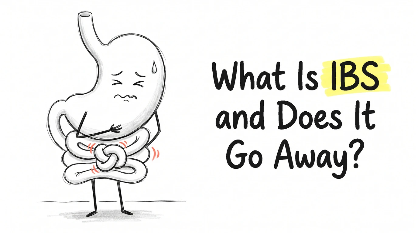 Thumbnail for the Know Your Gut article What Is IBS? Drawn in the site's hand-drawn cartoon gut-character style.
