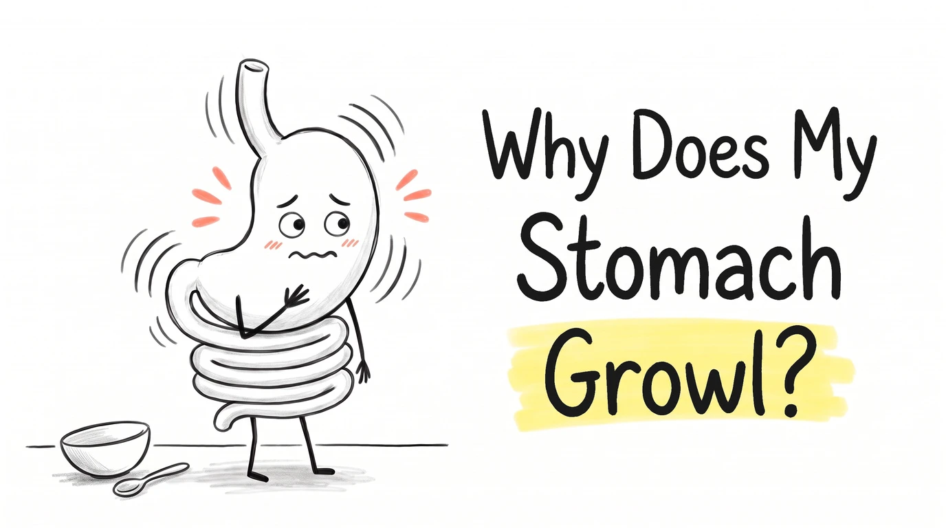 A cartoon gut character looking sheepish with one hand pressed to its own stomach to hush it, vibration arcs radiating off its side, a small empty bowl and spoon on the ground. Thumbnail for the Know Your Gut article Why Does My Stomach Growl?