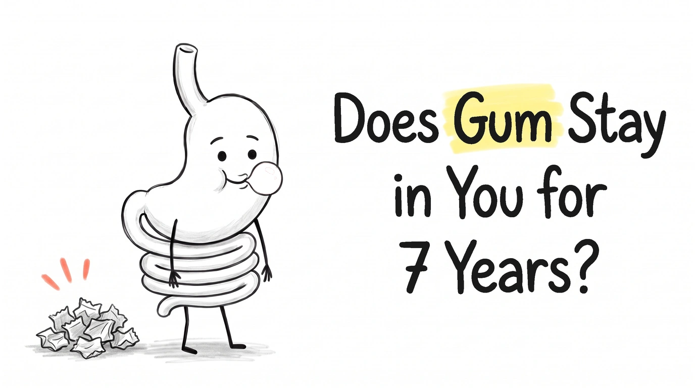 A cartoon gut character blowing a gum bubble beside a heap of crumpled gum wrappers. Thumbnail for the Know Your Gut article Does Swallowed Gum Stay in Your Stomach for Seven Years?