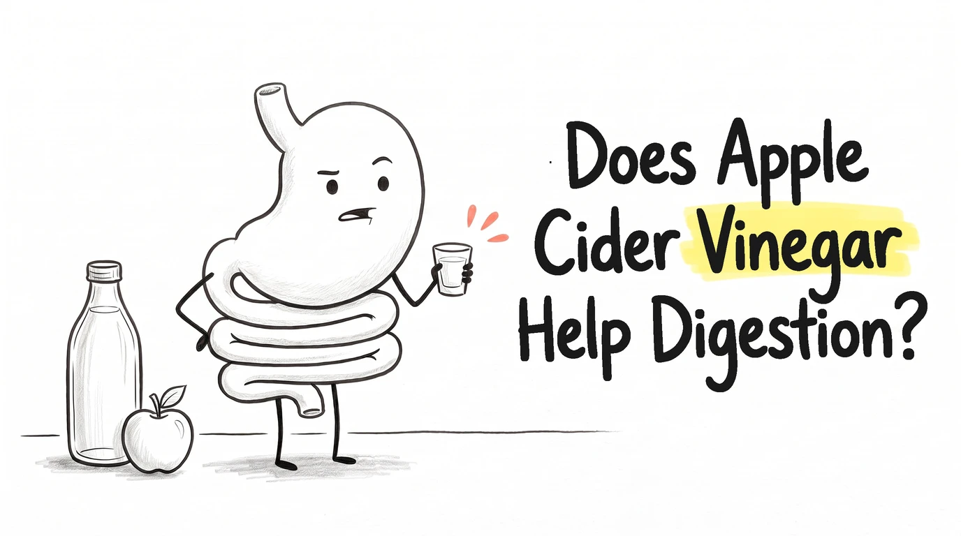 A cartoon gut character with a sour, unimpressed face holding a shot glass, beside a tall unlabelled vinegar bottle and an apple. Thumbnail for the Know Your Gut article Does Apple Cider Vinegar Help Digestion?