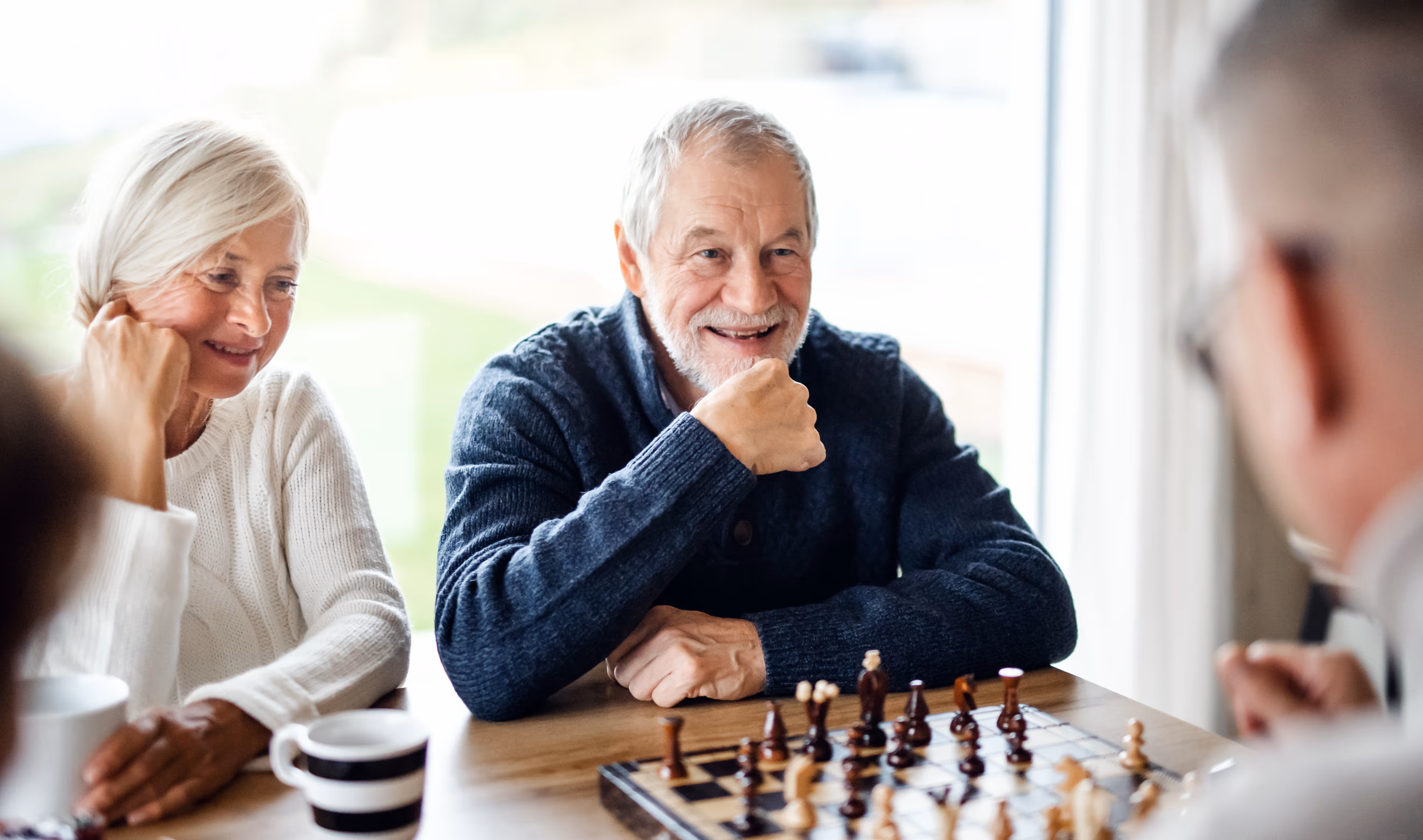 Seniors playing chess stock image