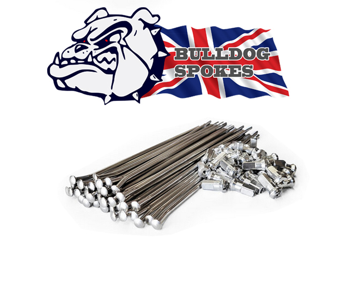 Beta Spokes Bulldog Front