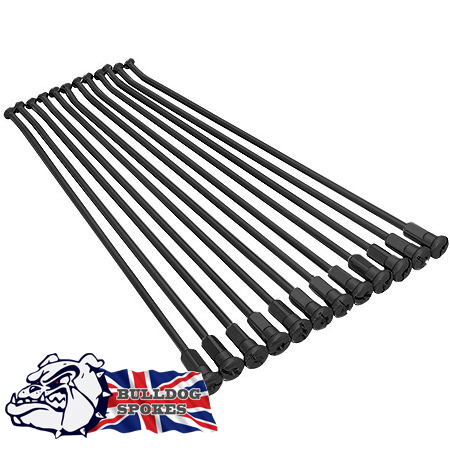 Kawasaki Spokes Bulldog Front