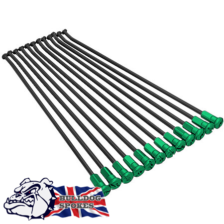 Kawasaki Spokes Bulldog Front