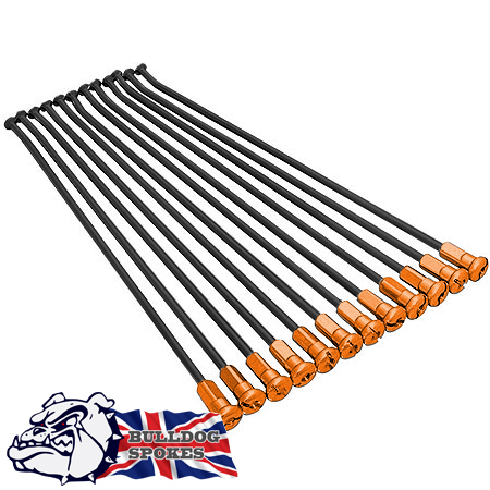 KTM Spokes Bulldog Rear