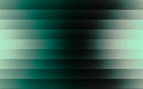 SXLVX Studio Meilenstein 2026 Wachstum und neue Projekte.