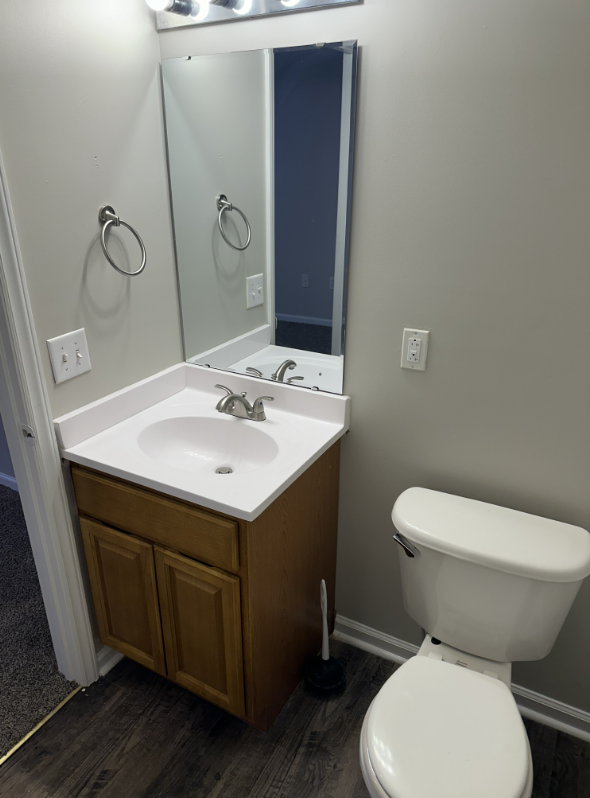 Bathroom with vanity featuring wood cabinets and mirror