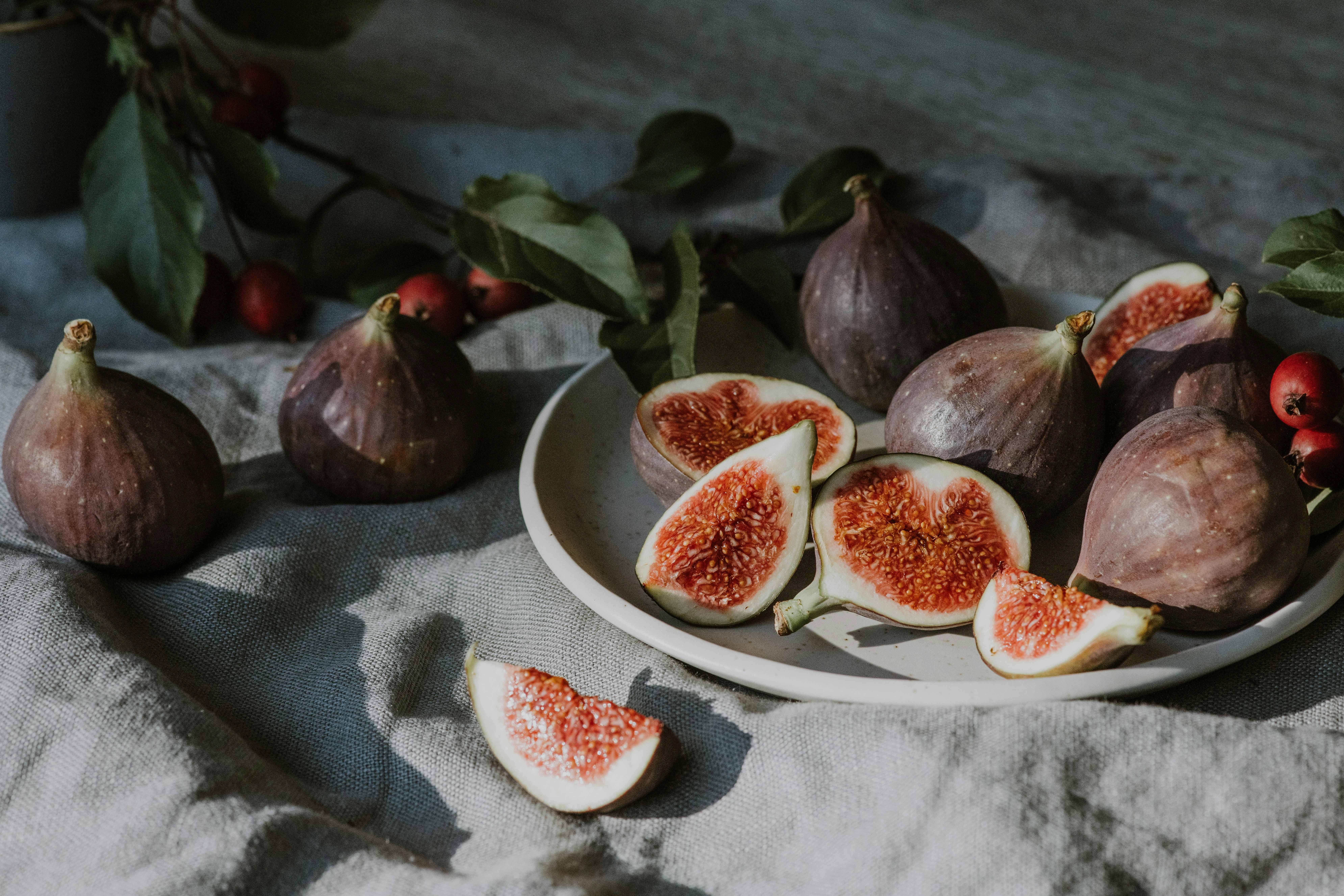 Nature and the Lenten Season: The Fig Tree