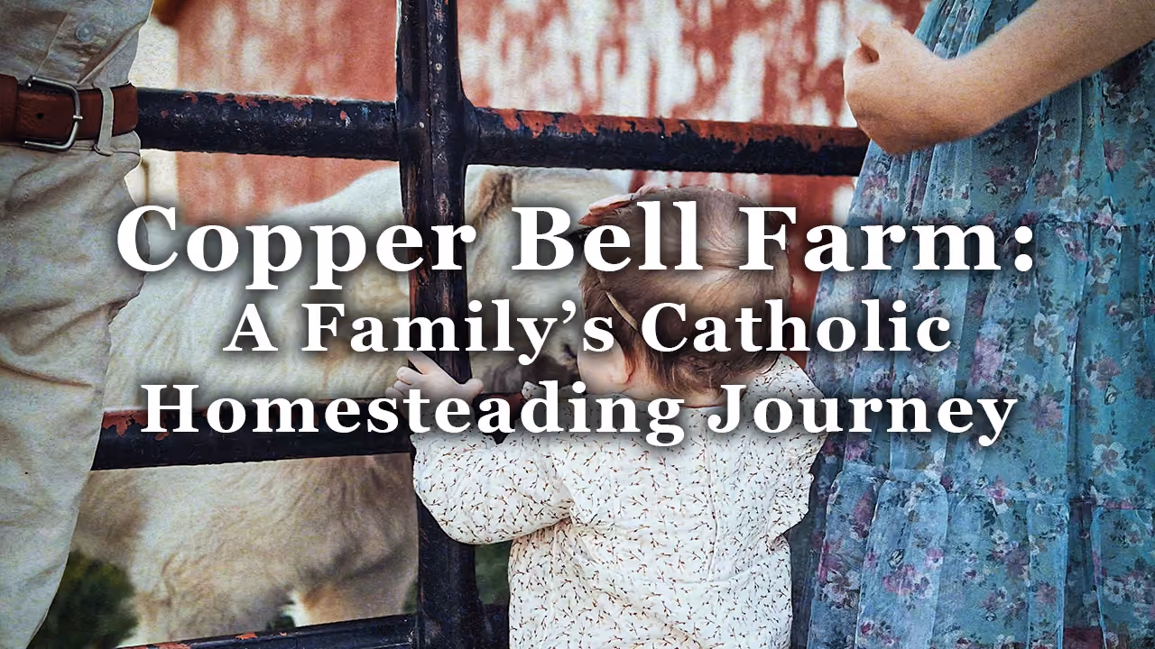 Copper Bell Farm: A Family’s Catholic Homesteading Journey