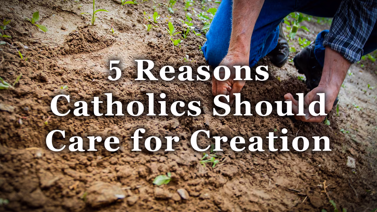 5 Reasons Catholics Should Care for Creation