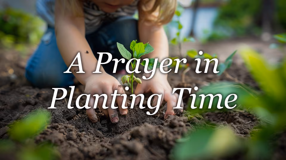 A Prayer In Planting Time