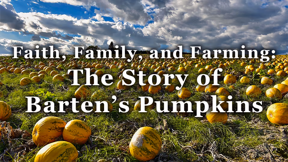 Faith, Family, and Farming: The Story of Barten’s Pumpkins in New Prague, Minnesota