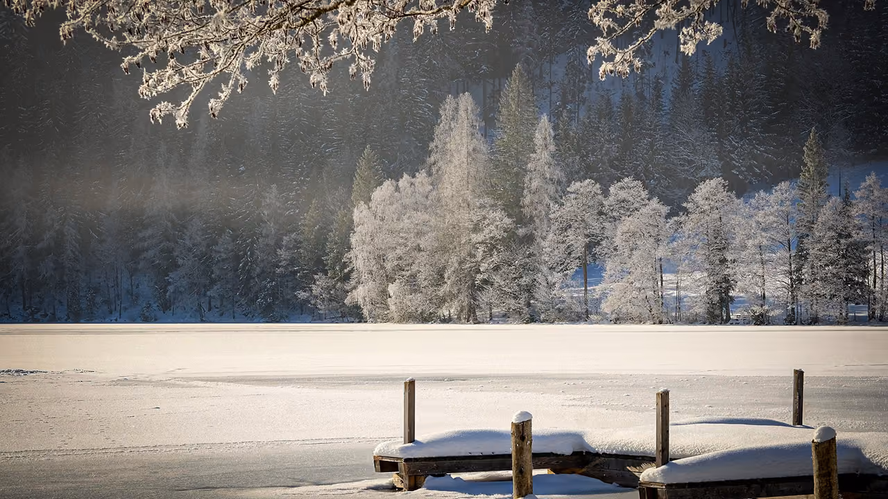 A Prayer at Christmas Time for Country Living