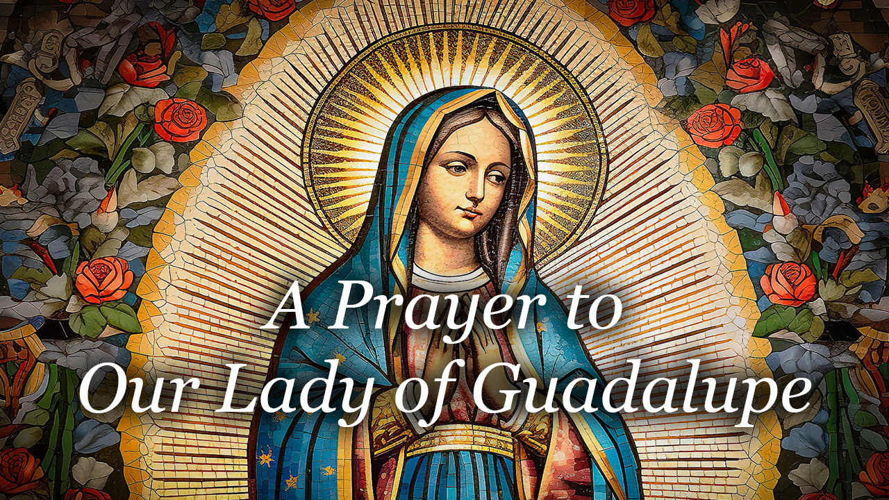 A Prayer to Our Lady of Guadalupe