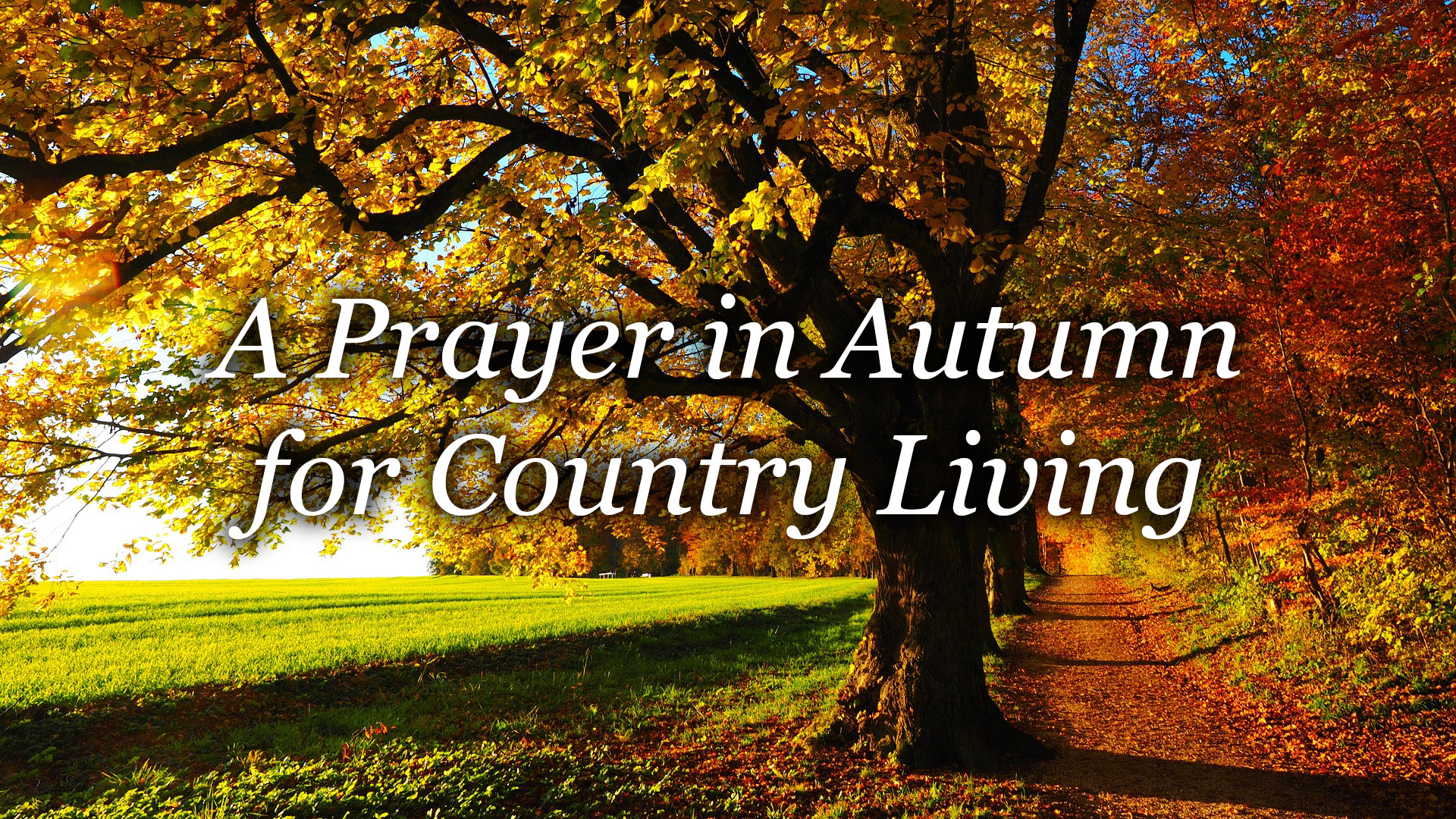 A Prayer In Autumn For Country Living