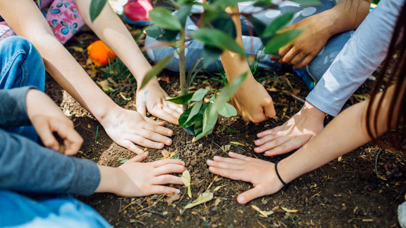 Webinar: Encounter for Our Common Home