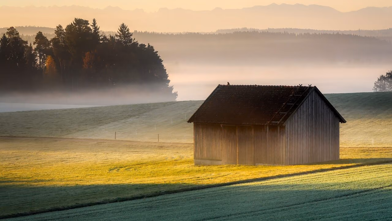 How to Overcome the Feeling of Isolation