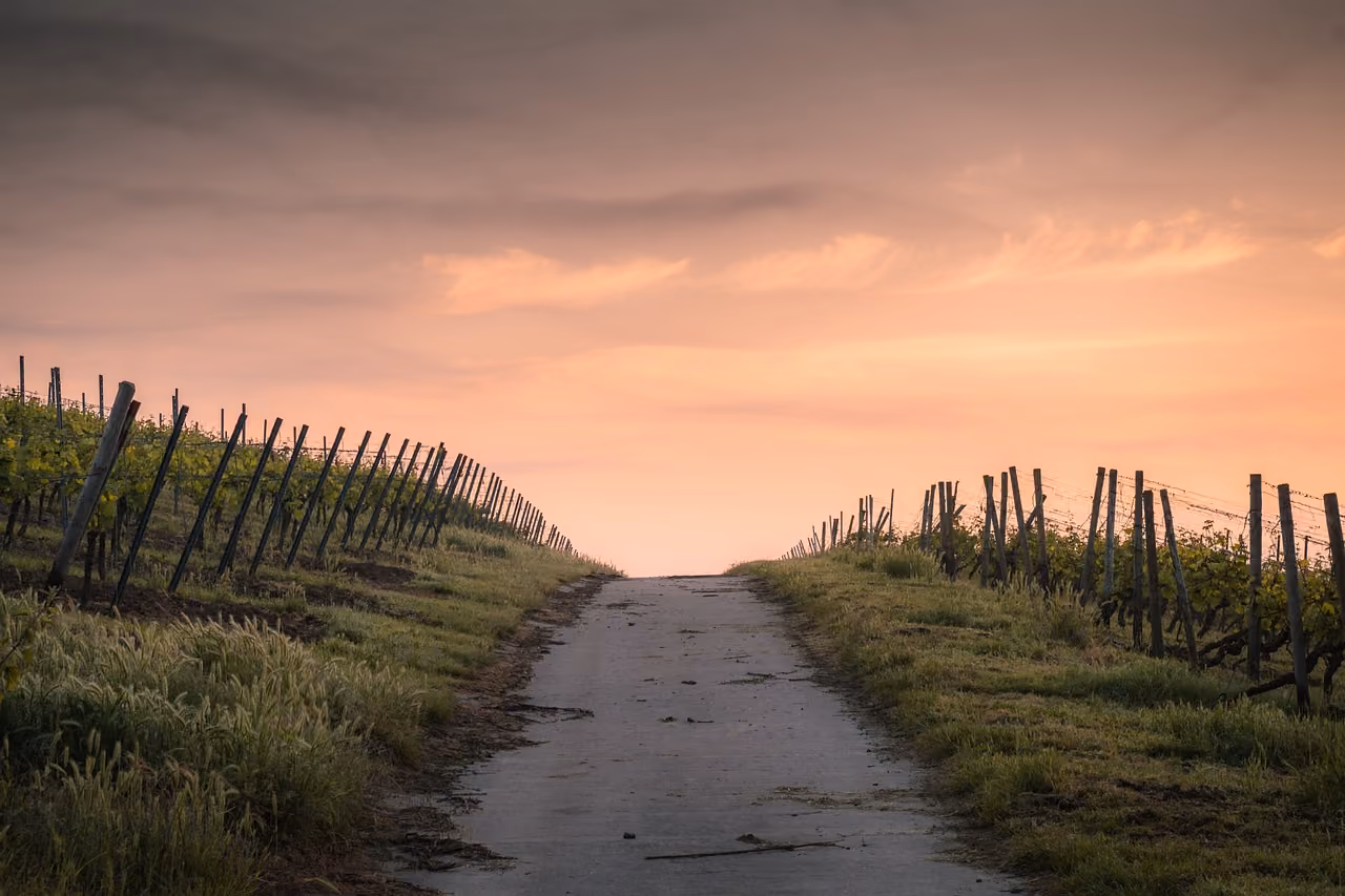 Navigating the Challenges of Mass Attendance in a Rural Area