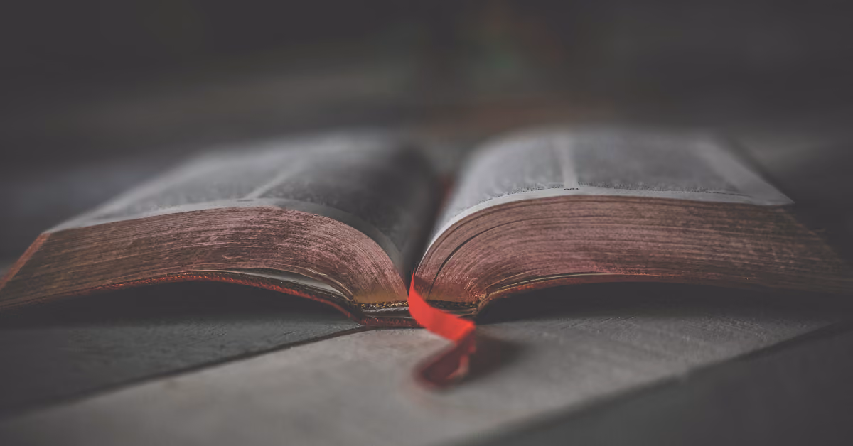 3rd Sunday of Lent Reflection