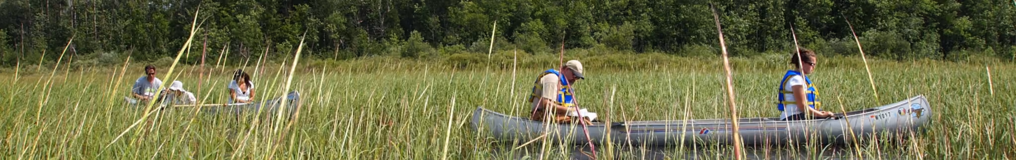 canoes