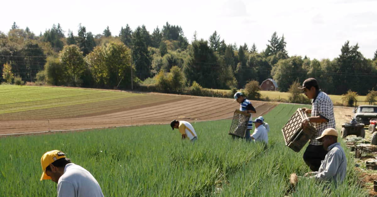 Vocation of the Agricultural Leader