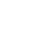Flies Fly