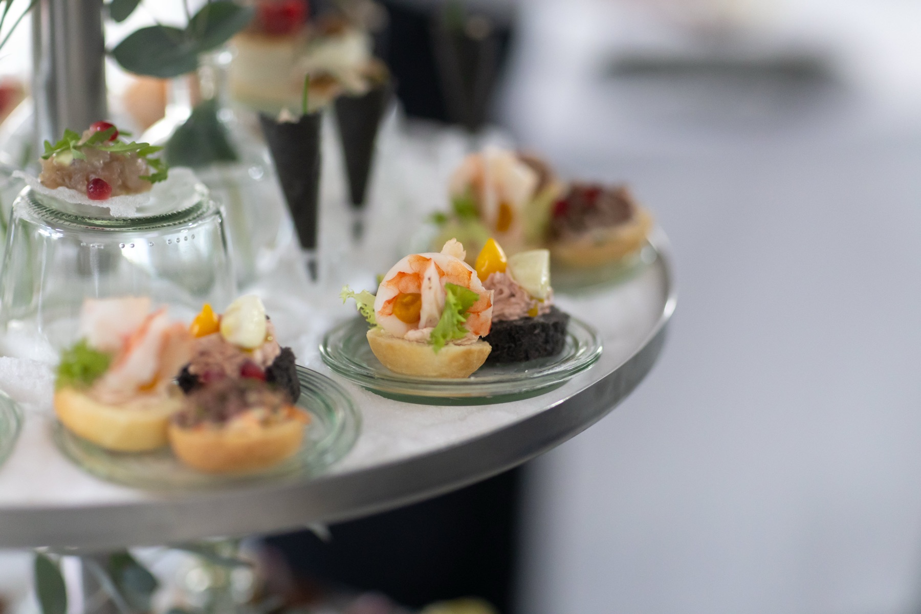 Canapés in finger food na cateringu predstavitve knjige »Toni bi poznal naslov te knjige«
