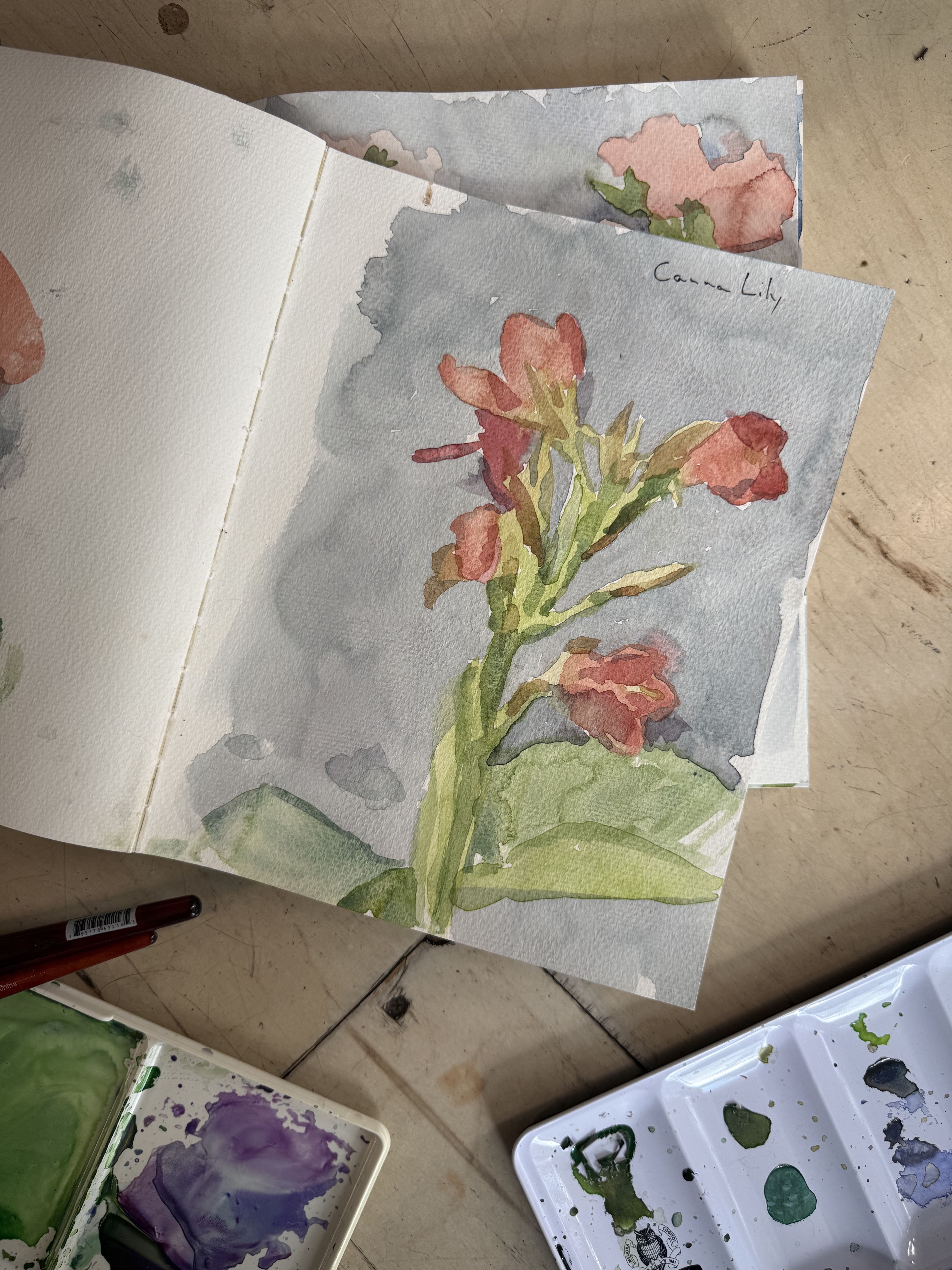 Watercolor painting of a pink and red flower with green leaves on a gray background, with paint palettes and brushes nearby.