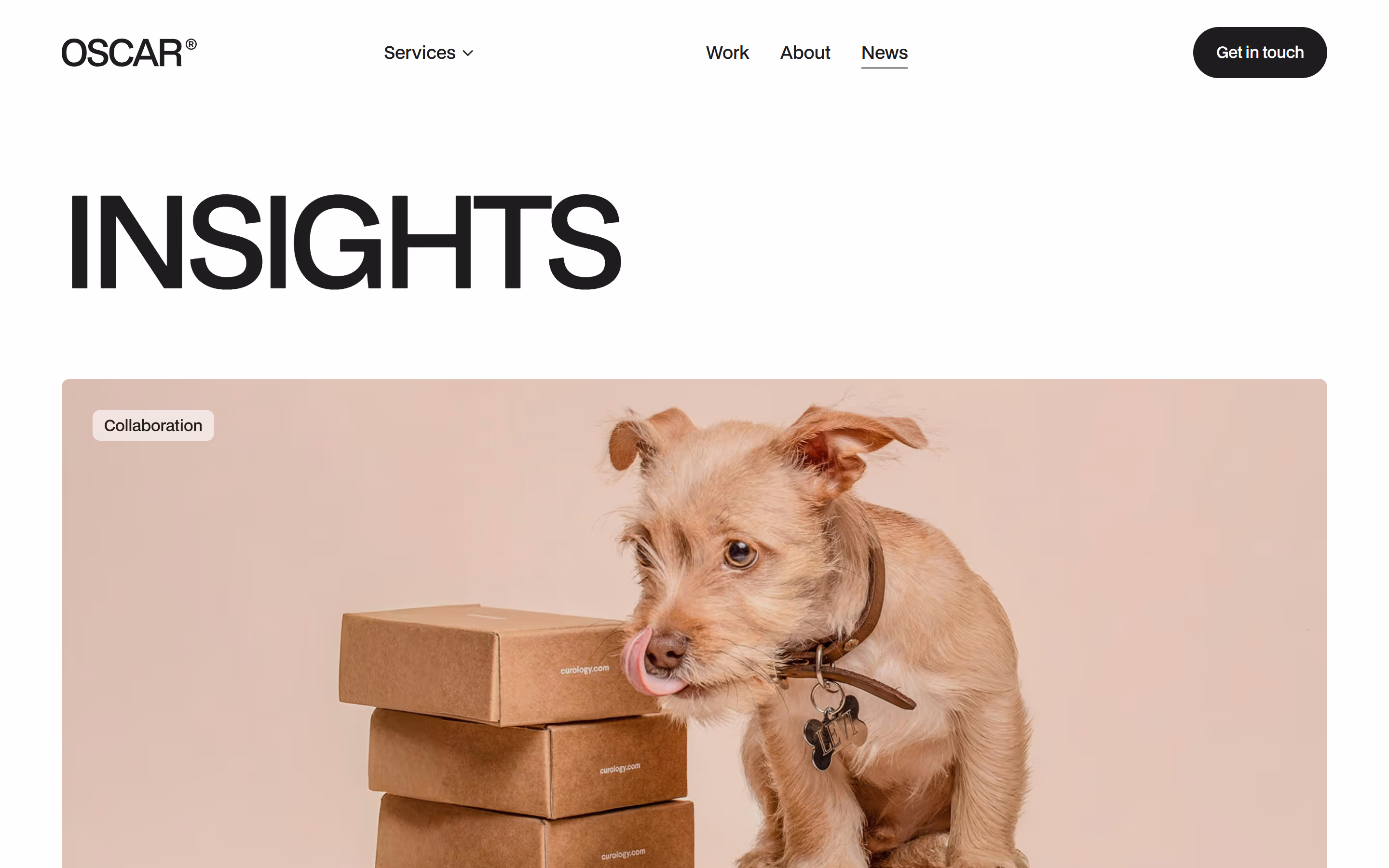 Oscar Webflow Template News page