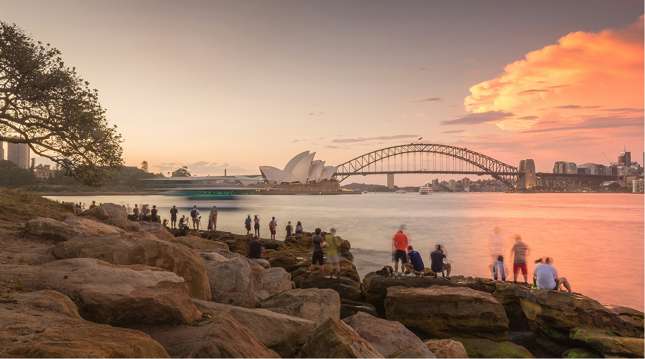 Two people sitting across from each other at a table working on laptops with a large green plant and window in the background.