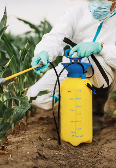 Person in protective suit and gloves spraying crops with a yellow and blue pesticide sprayer in a field.