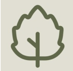 Tiny Leaf