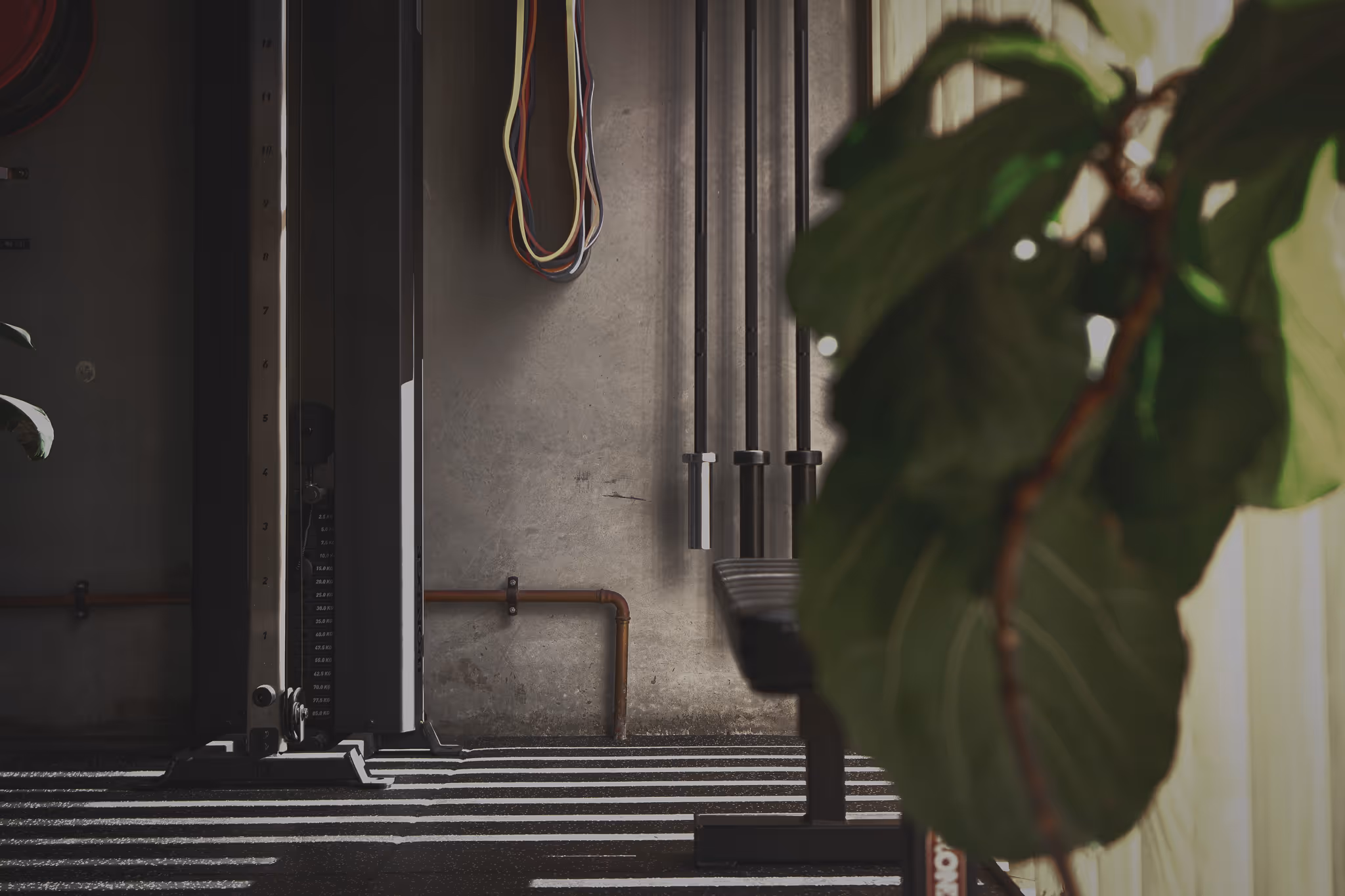 Gym interior with weight machine, pipes on wall, and green plant in foreground.