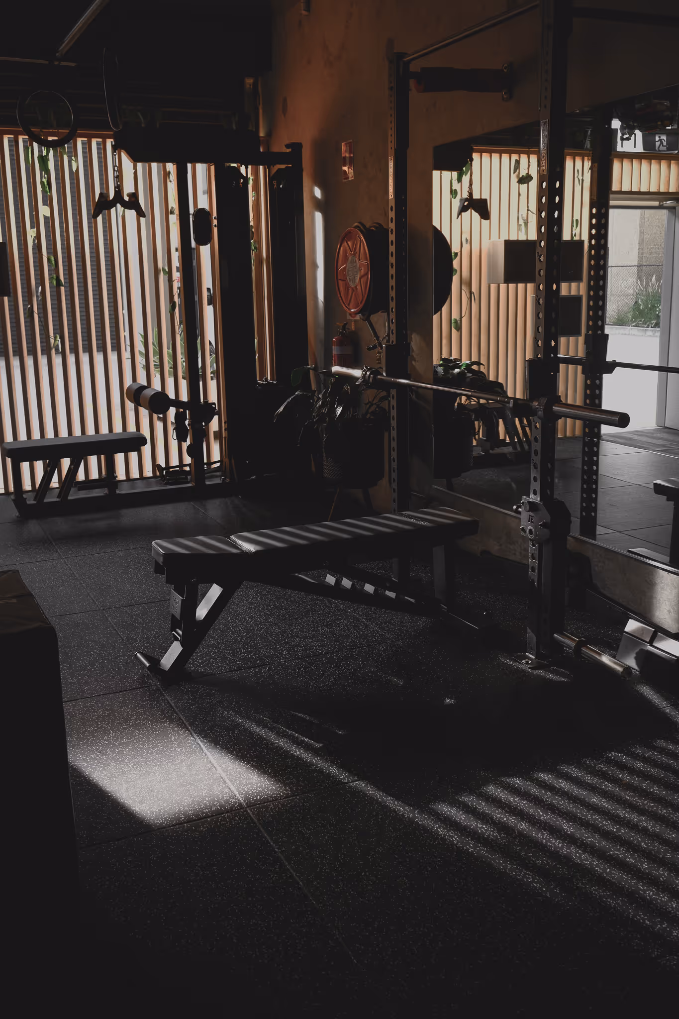 Dimly lit gym with weight bench, squat rack, and wooden slat window casting shadows on the floor.